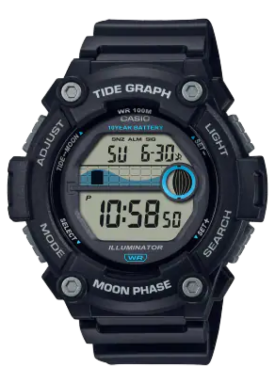 Часы Casio Collection WS-1300H-1A
