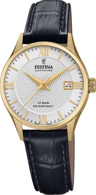 Часы Festina  Swiss Made F20011/1