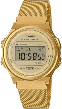 Часы Casio Vintage A171WEMG-9A