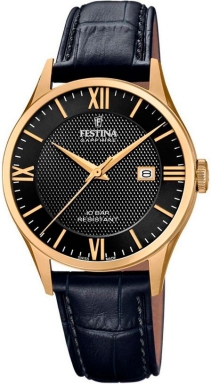 Часы Festina Swiss Made F20010/4